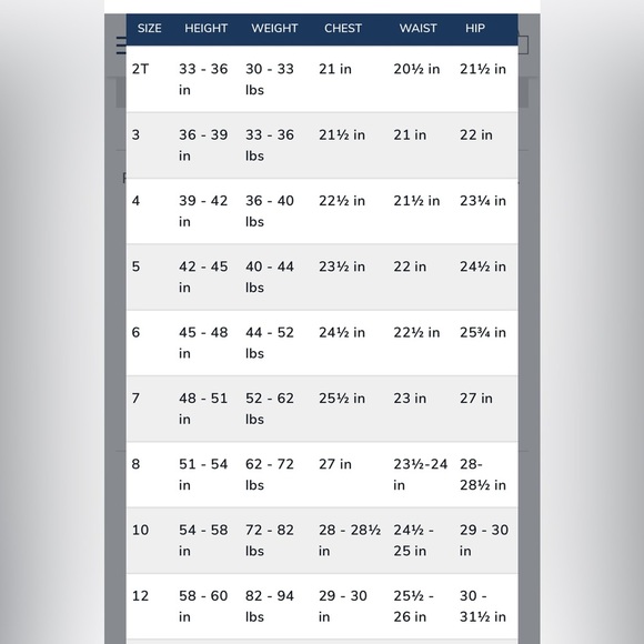 Janie and Jack metallic floral jacquard top - Picture 4 of 9